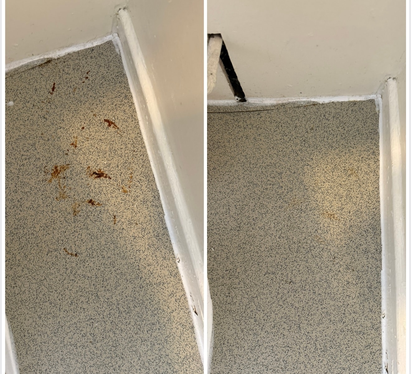 March-Out Clean: Army Accommodation before and after 3